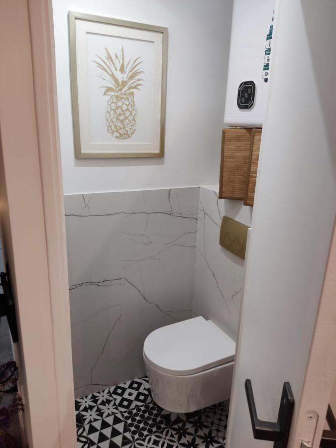 Superbe Appartement Avec Jacuzzi Avec Jardin Prive Ліон Екстер'єр фото